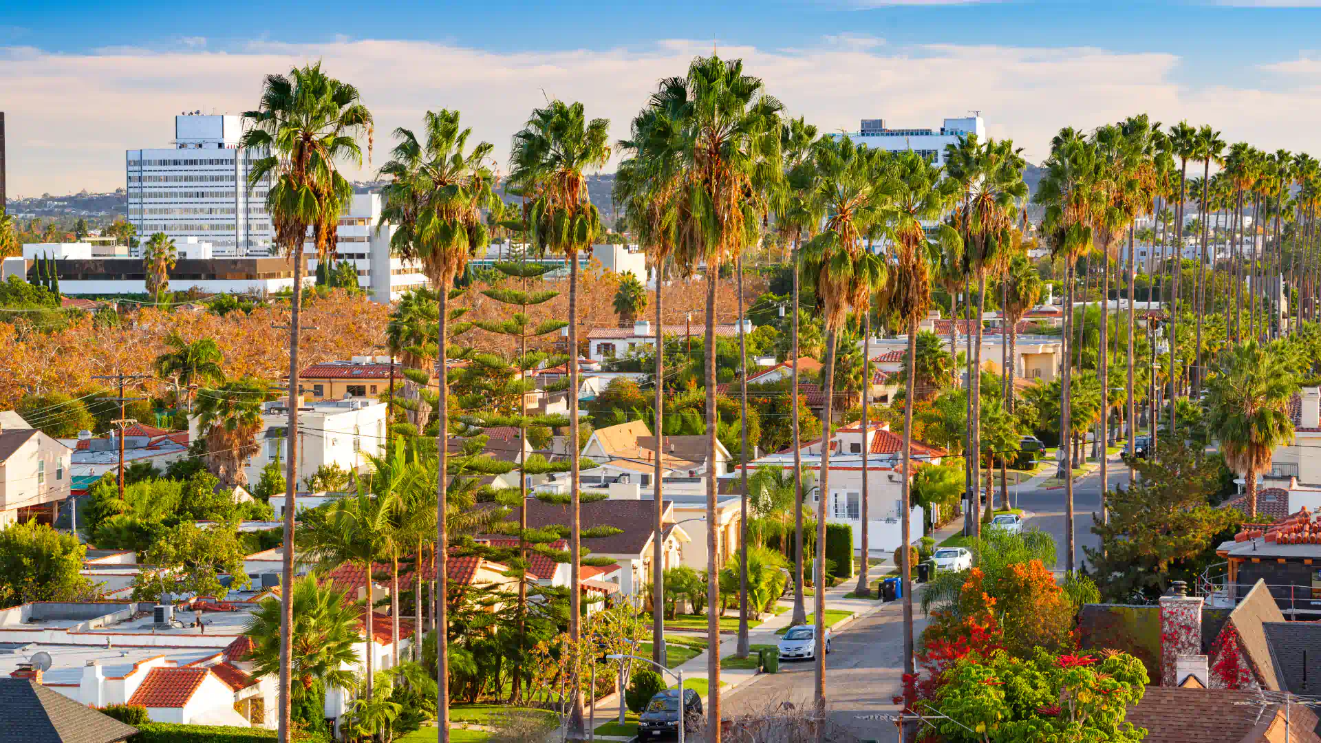 beverly hills home hero